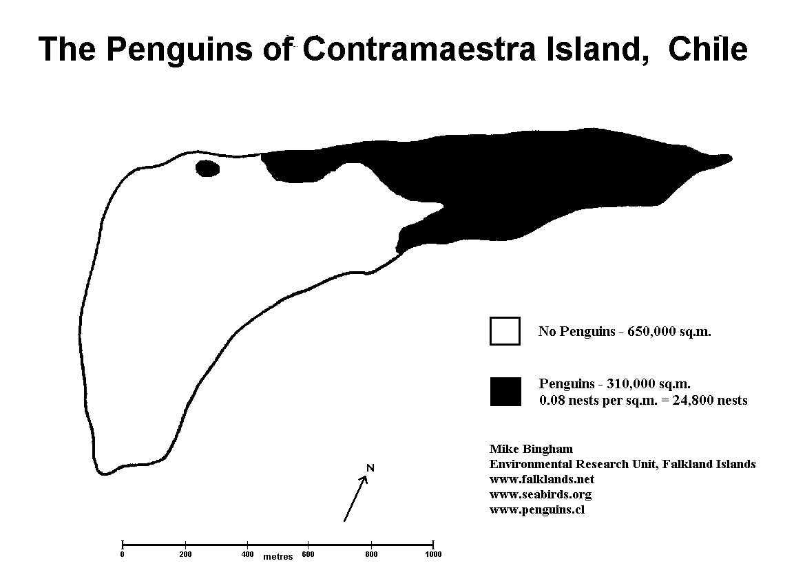 Contramaestra