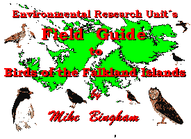 Guia de aves de las islas Malvinas